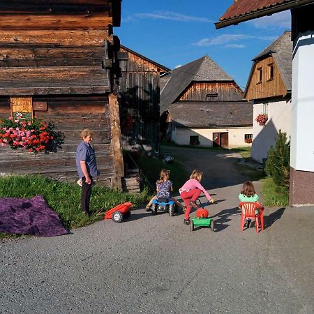 Vila Rettlhof Sankt Peter am Kammersberg Exteriér fotografie