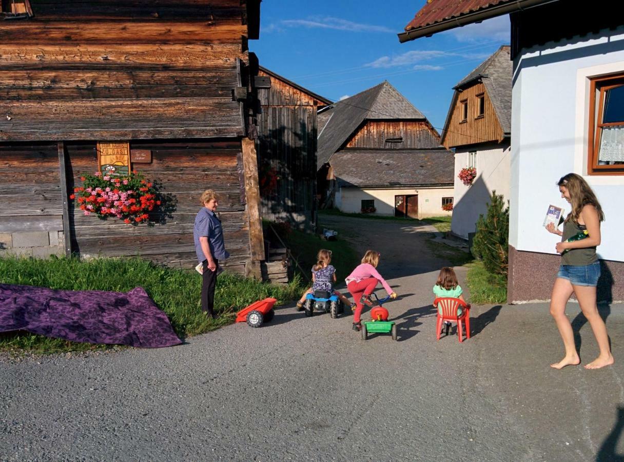 Vila Rettlhof Sankt Peter am Kammersberg Exteriér fotografie