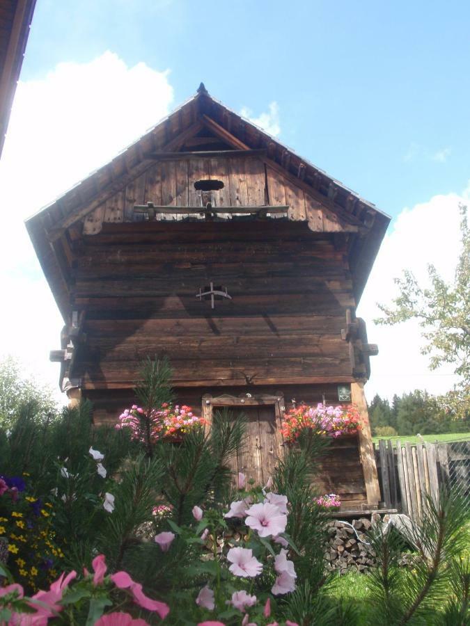 Vila Rettlhof Sankt Peter am Kammersberg Exteriér fotografie